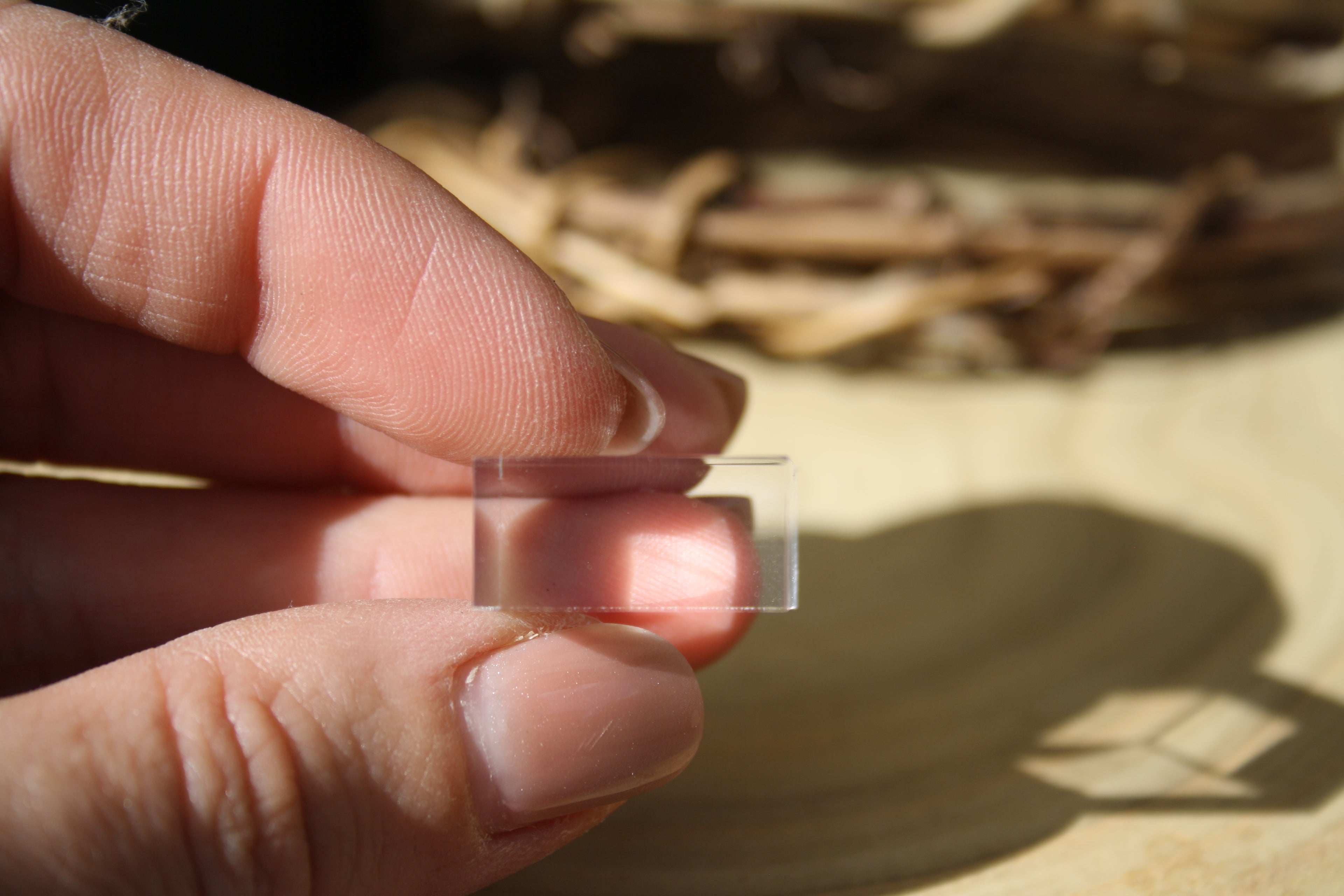 Socle en Plexiglass Transparent 1 cm - Support de Présentation Carré