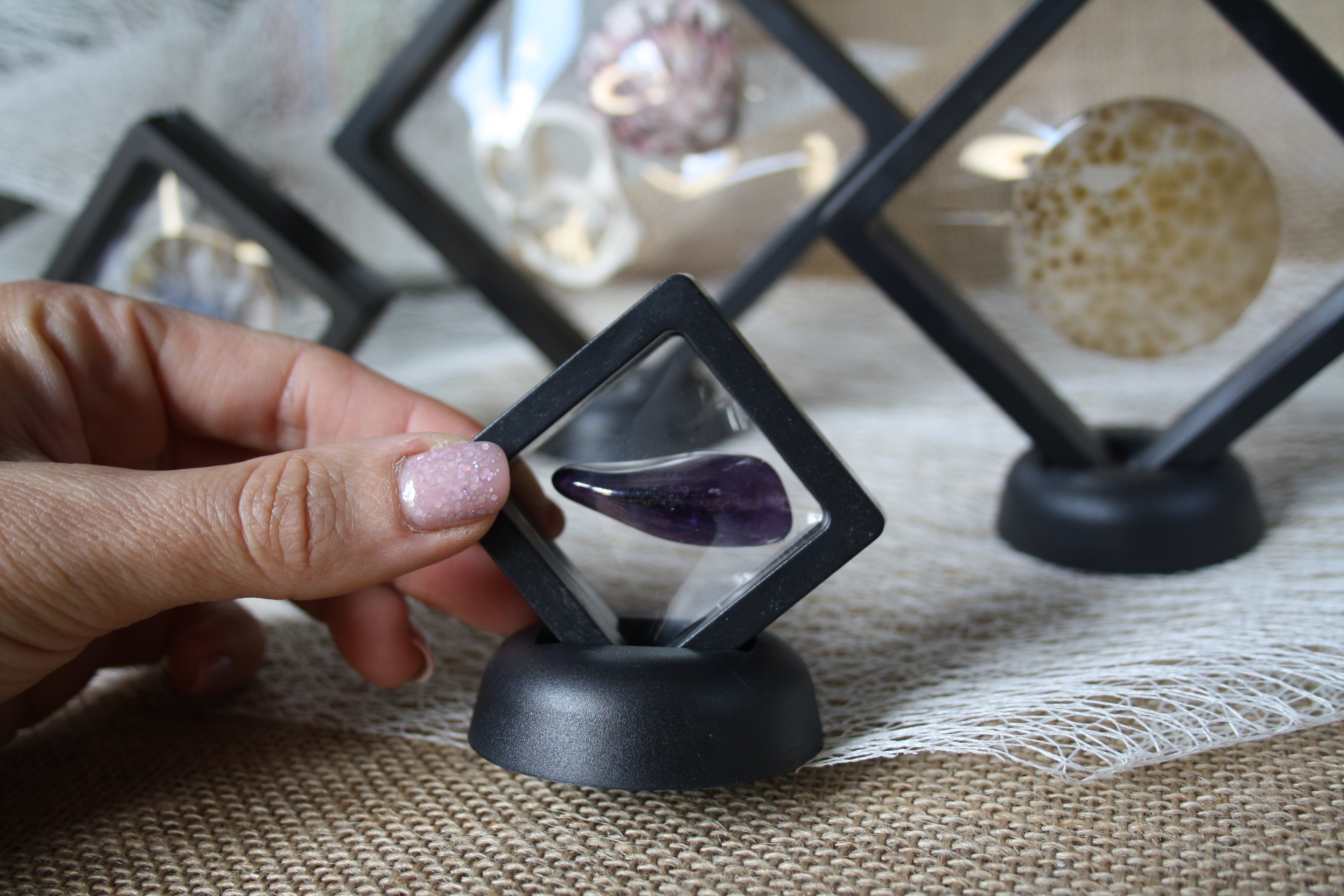 Boîte à membrane transparente pour minéraux et bijoux - Présentation et protection