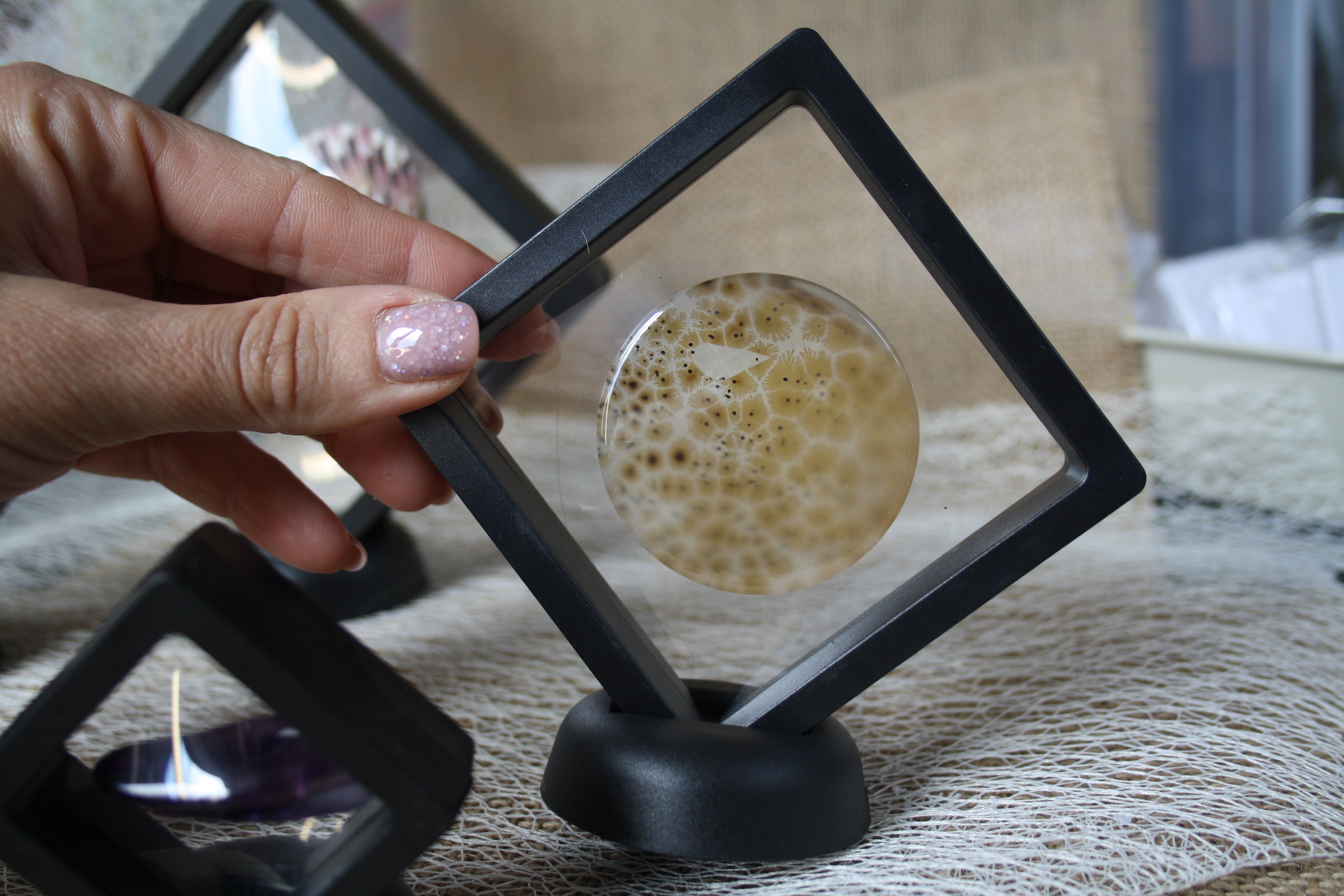 Boîte à membrane transparente pour minéraux et bijoux - Présentation et protection