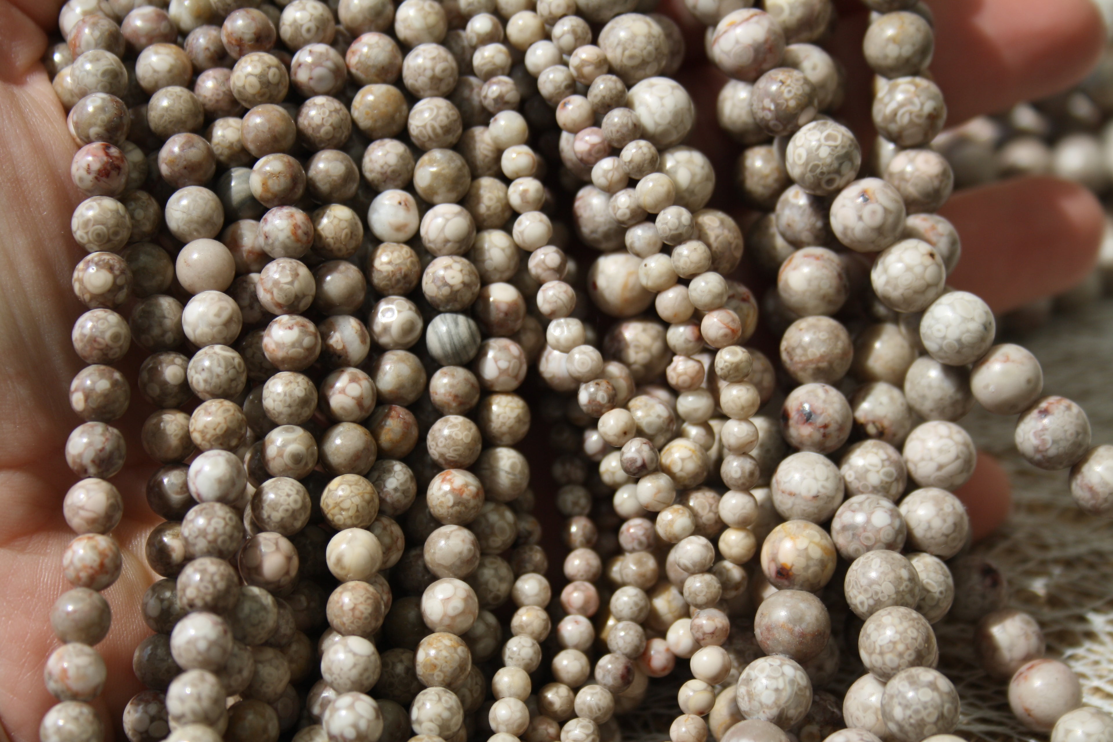 Corail fossile Naturel – Lignes de Perles Rondes 4 mm, 6 mm et 8 mm