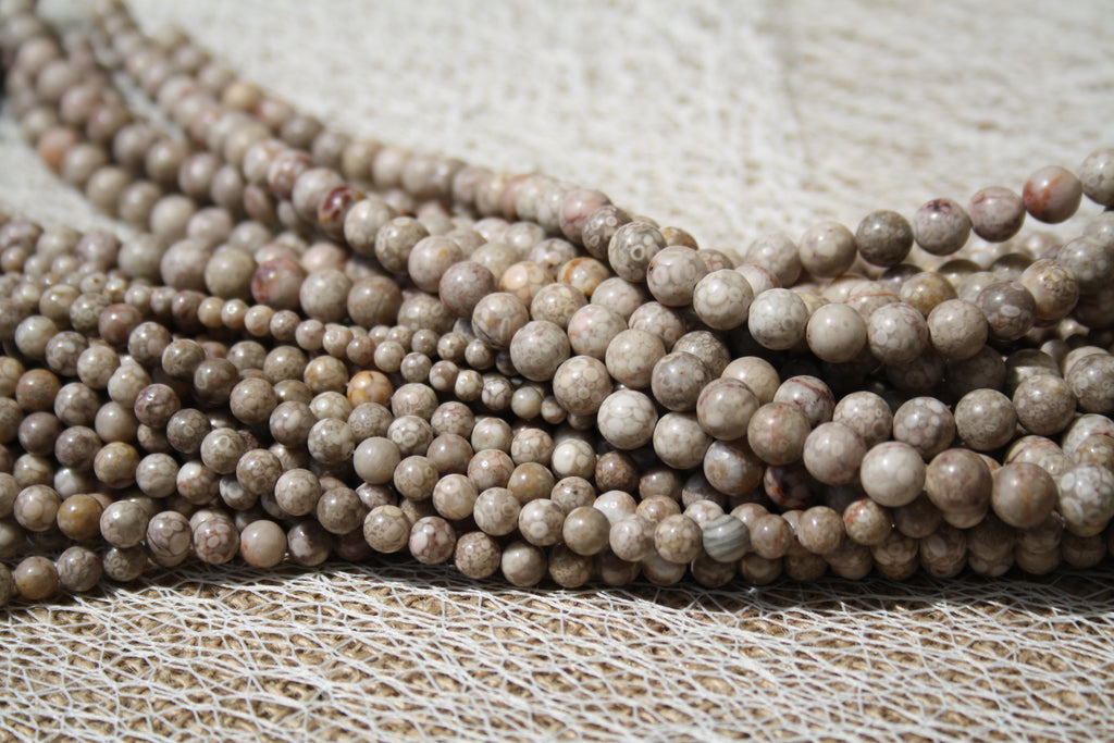 Corail fossile Naturel – Lignes de Perles Rondes 4 mm, 6 mm et 8 mm