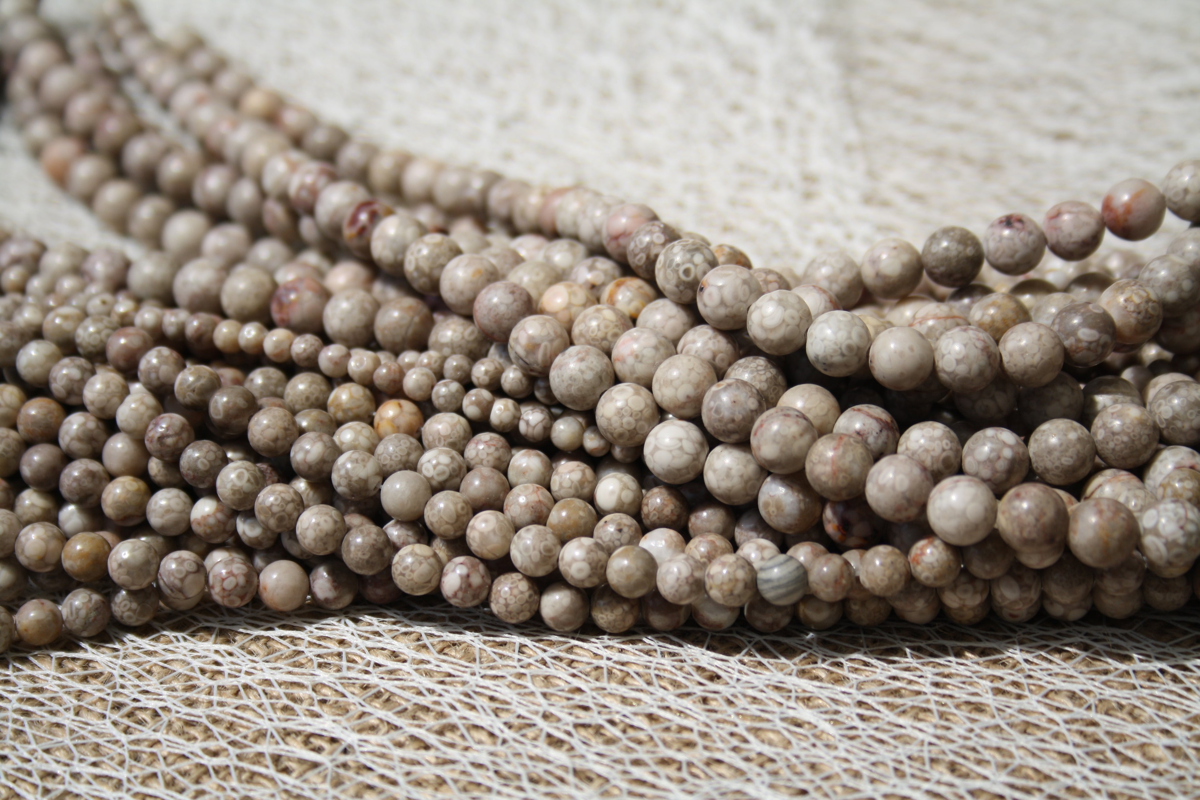 Corail fossile Naturel – Lignes de Perles Rondes 4 mm, 6 mm et 8 mm