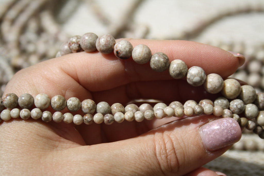 Corail fossile Naturel – Lignes de Perles Rondes 4 mm, 6 mm et 8 mm